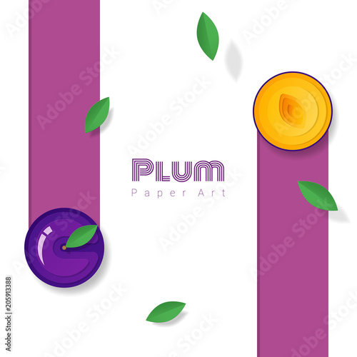 Fresh plum fruit background in paper art style , vector , illustration