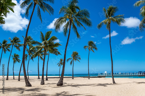 Beautiful Sand at the Waikiki Beach in Honolulu   Hawaii