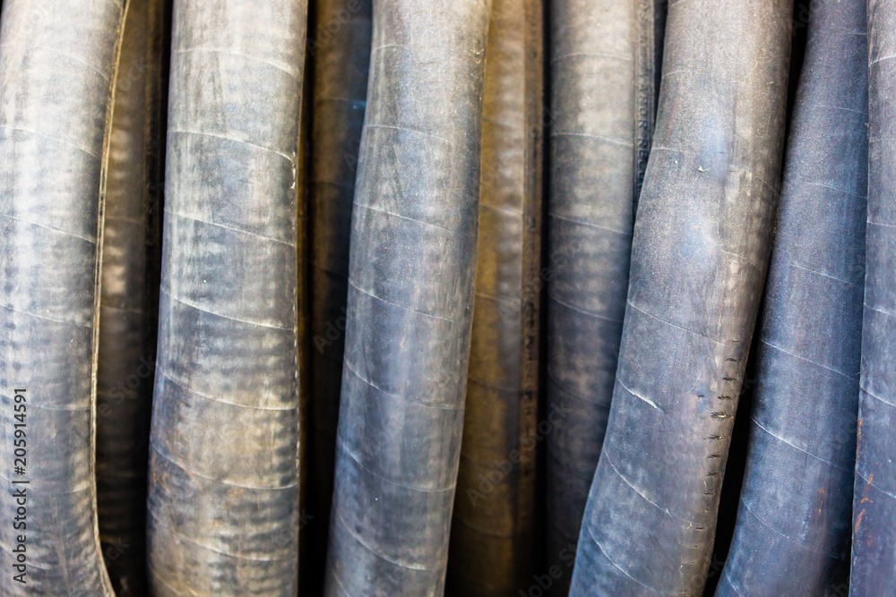 Fototapeta premium Hose