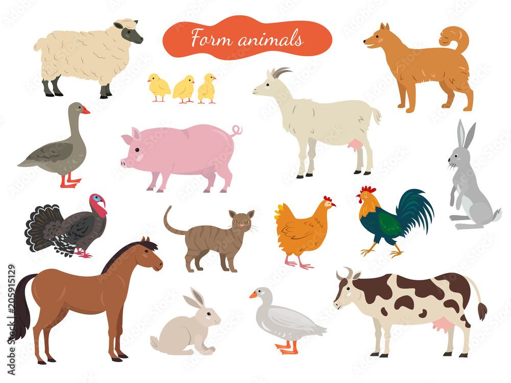 Set of farm animals on white background.