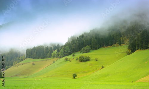 Beautiful alpine landscape with dense fog covering hill slopes over fresh green meadow