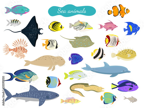 Set of cartoon sea animals on white background.