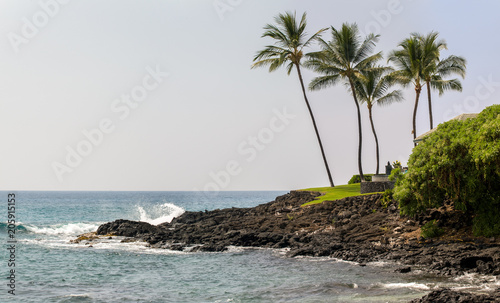 hawaii tropical scene