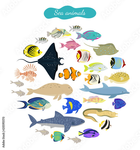Set of cartoon sea animals on white background.