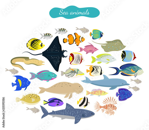 Set of cartoon sea animals on white background.