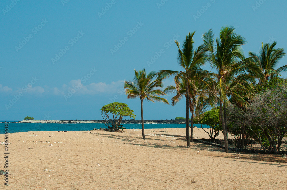 hawaii tropical beach hawaii tropical beach