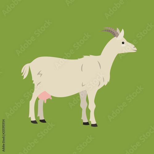 Cute goat on green background.