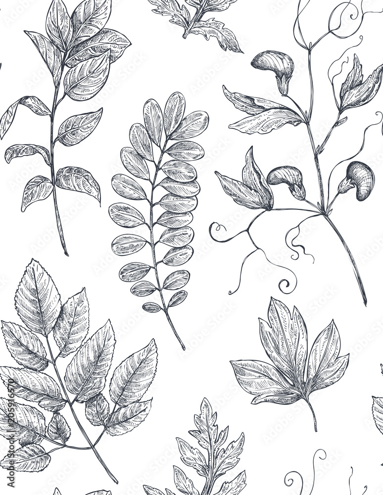 Fototapeta premium Floral seamless pattern with hand drawn poppy flowers and leaves.