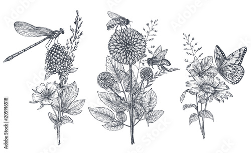 Set of three vector floral bouquets with black and white hand drawn herbs, wildflowers and insects