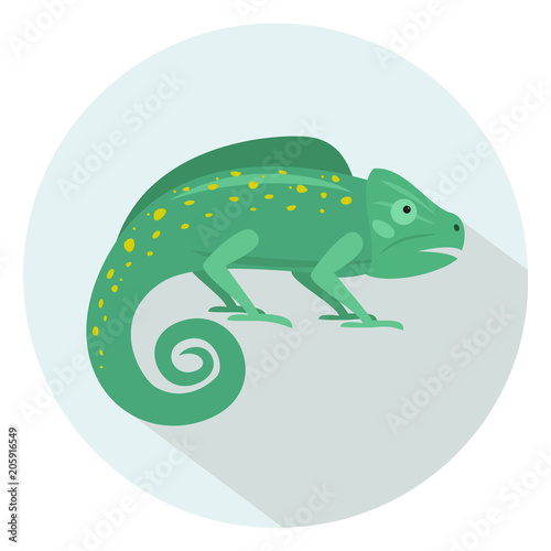 Cute chameleon on blue background.