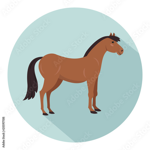 Cute horse on blue background.