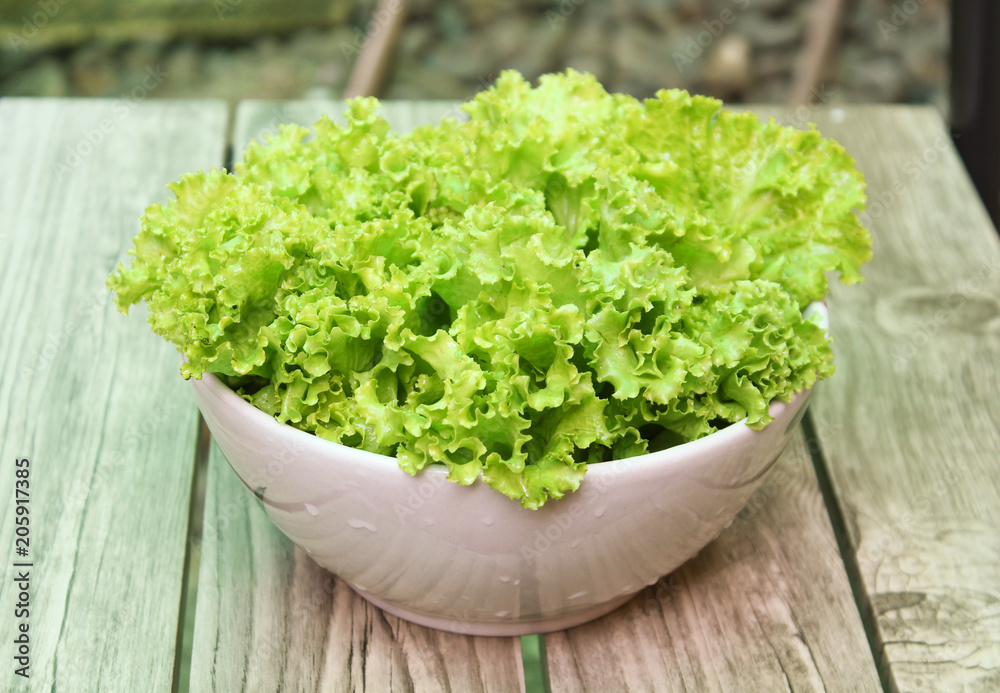 fresh green lettuce in bowl, healthy green salad fresh green lettuce in bowl, healthy green salad