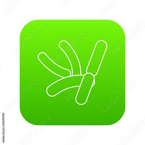 Bacilli icon green vector isolated on white background