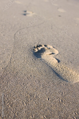 Footprints in the sand photo