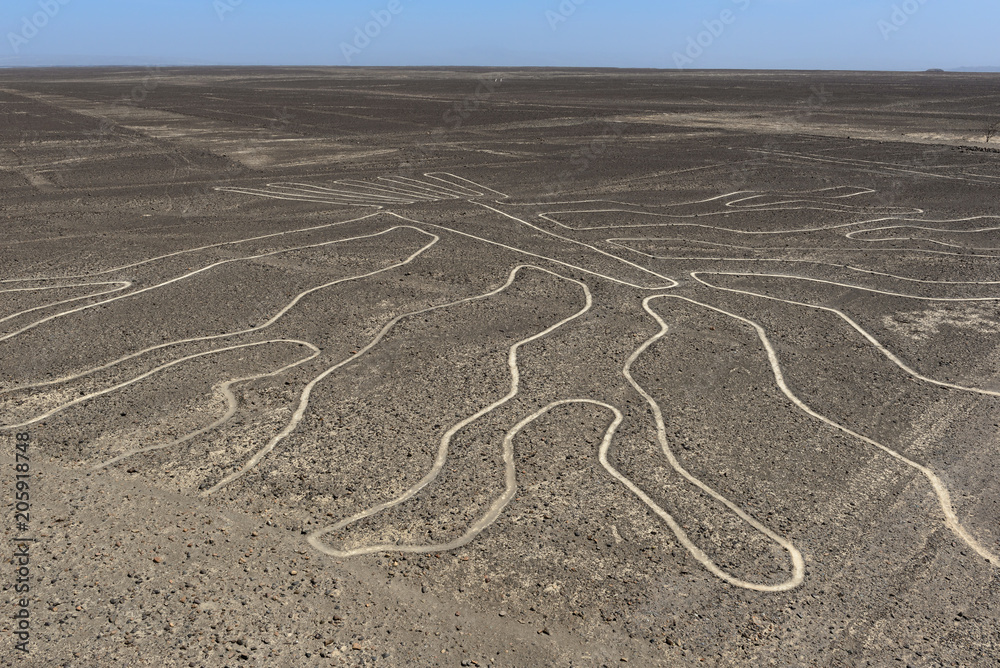 The Tree Nazca Line seen from observation deck, Peru