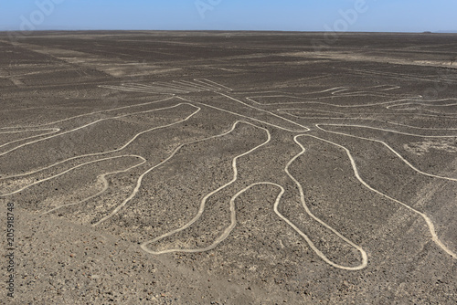 Obraz na płótnie The Tree Nazca Line seen from observation deck, Peru w salonie