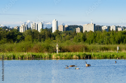 View on Coquitlam from Burnaby Lake