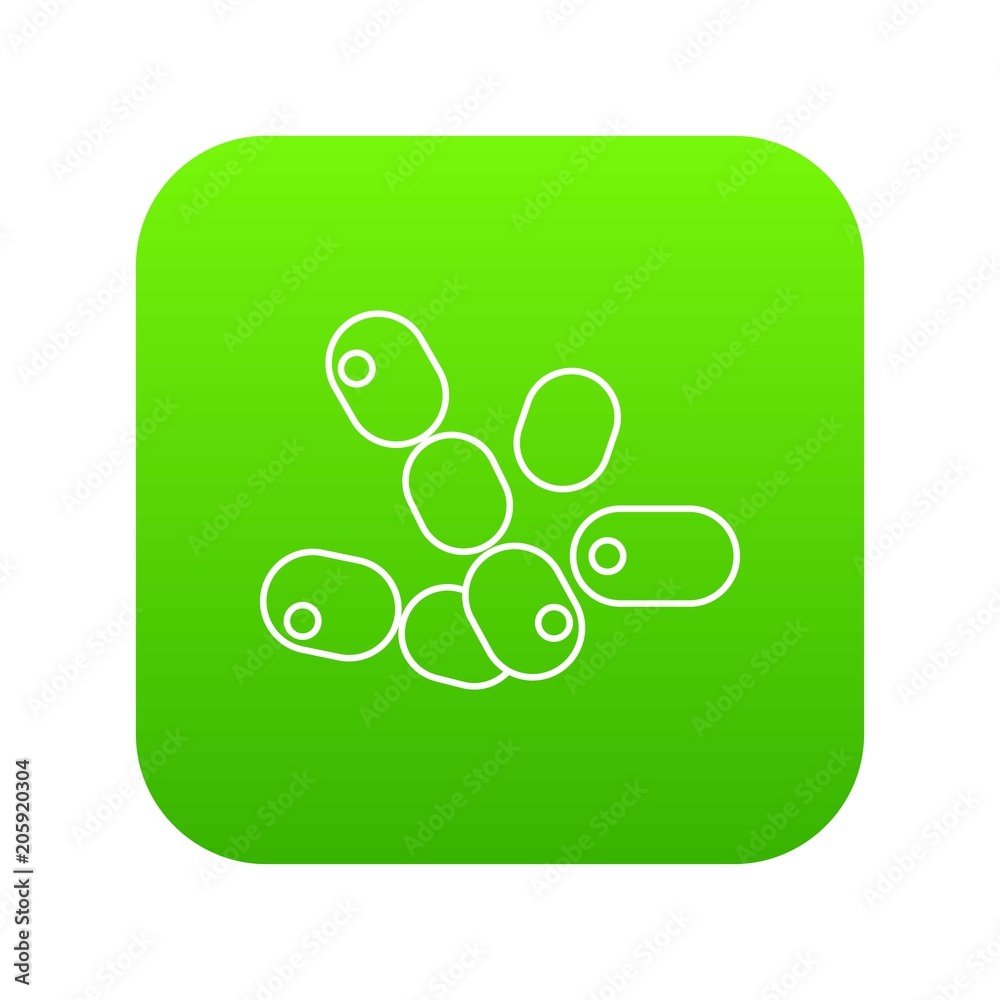 Coccus bacilli icon green vector isolated on white background Stock ...