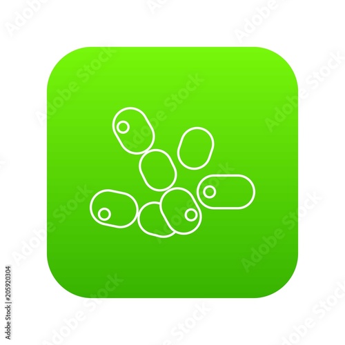 Coccus bacilli icon green vector isolated on white background