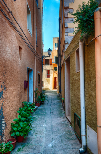 Fototapeta Naklejka Na Ścianę i Meble -  the beautiful alley of castelsardo old city