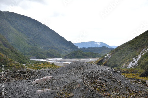 Regenwald in Neuseeland