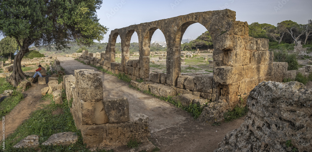 Romantic ruins of early christian basilica in roman town Tipasa (Tipaza), Algeria