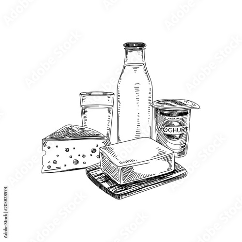 Beautiful vector hand drawn dairy products illustration.