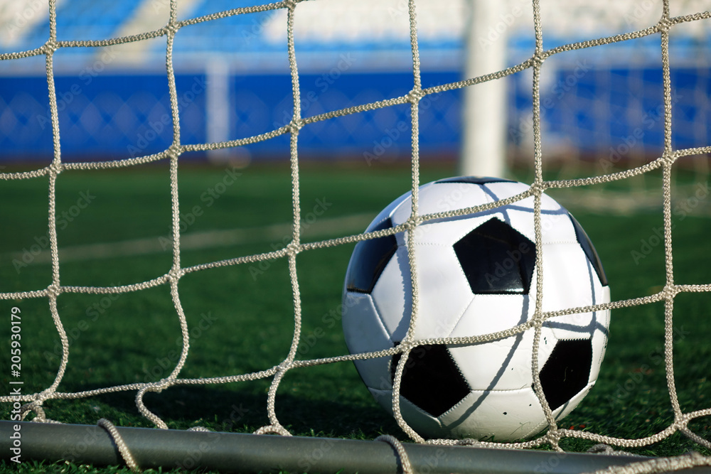 Naklejka premium Football on a green field. The ball in the goal.