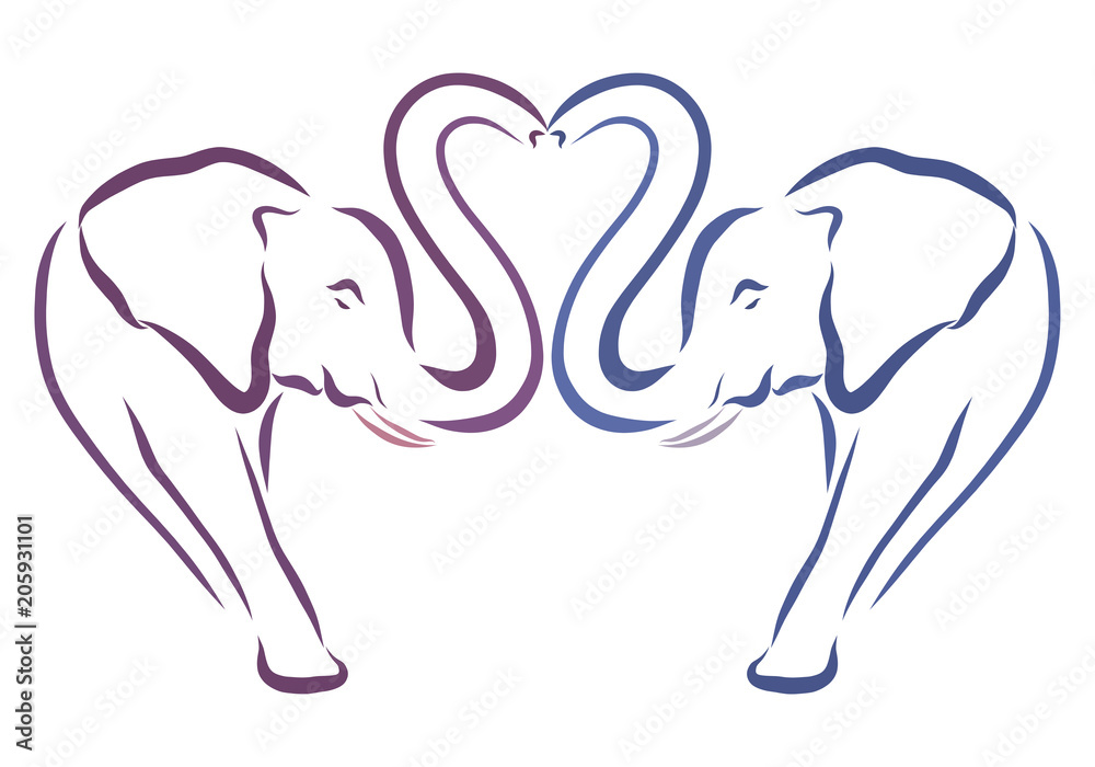 A pair of loving elephants creating a heart with proboscis A pair of loving elephants creating a heart with proboscis
