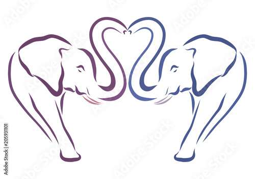 Photography A pair of loving elephants creating a heart with proboscis