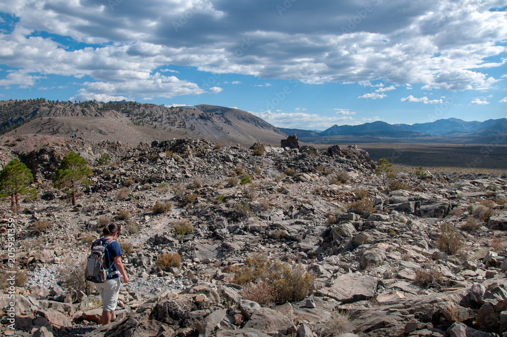 Fototapeta premium Mono Lake