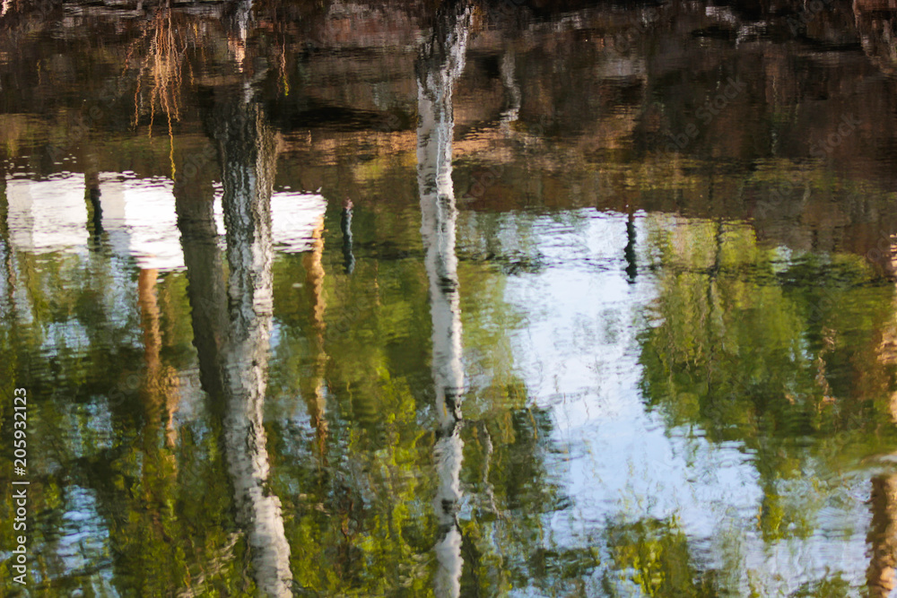 Obraz premium Reflection of trees in the lake, in the river, in the water