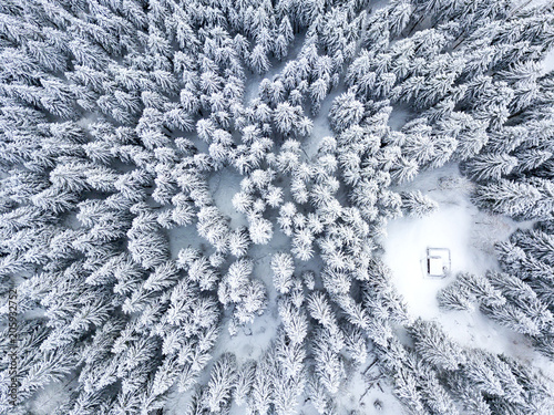 Aerial view of trees covered with snow during winter