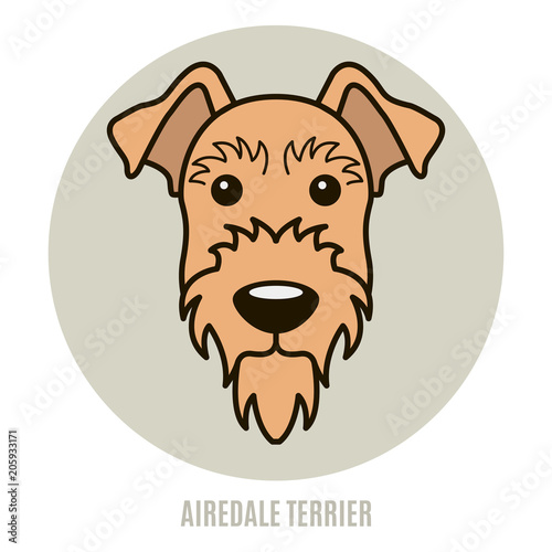 Portrait of Airedale Terrier
