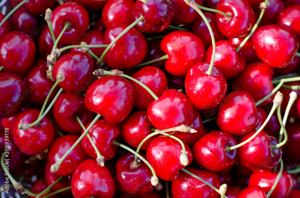 cherry fruit background cherry fruit background