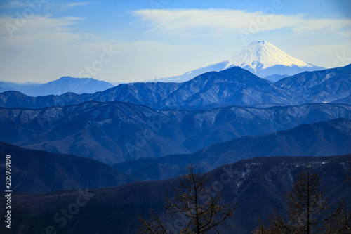雲取山 七ツ石山 35