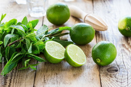 Ingredients for making summer drink mojito