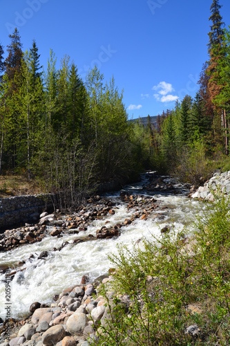 Creek at Highway 93, Jasper National Park © RiMa Photography