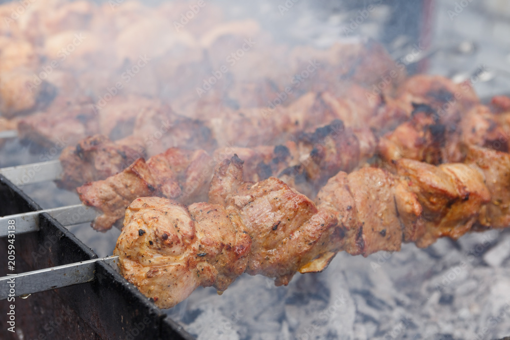 Marinated barbecue meat on skewer. Shish kebab or Shashlyk meaning skewered meat. Beef or pork on grill on an open fire with smoke. Street food, picnic concept Marinated barbecue meat on skewer. Shish kebab or Shashlyk meaning skewered meat. Beef or pork on grill on an open fire with smoke. Street food, picnic concept