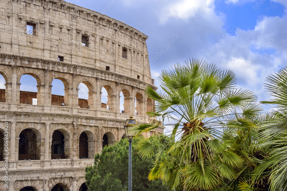 Colosseum or Coliseum in Rome, Italy with palm trees and blue sky.