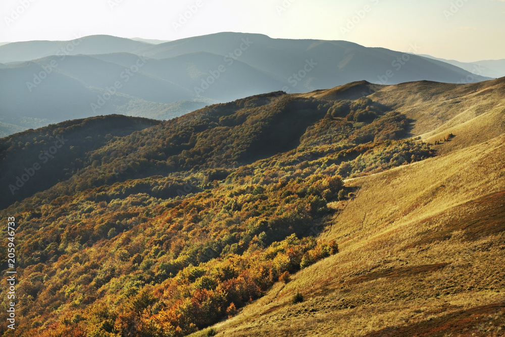 Fototapeta premium Bieszczady National Park near Wolosate village. Poland