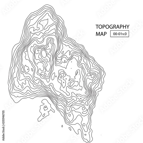 vector topography map