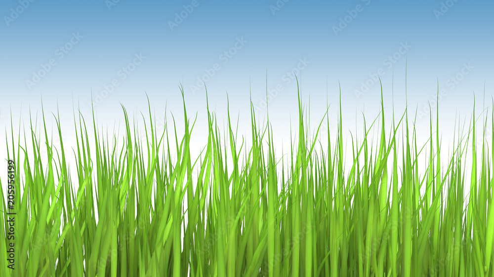 An illustration of a tall grass.