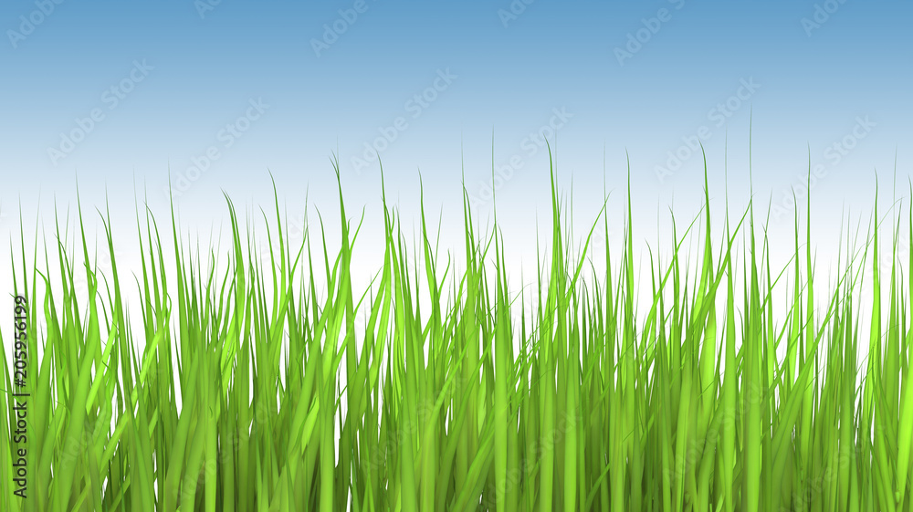 An illustration of a tall grass. An illustration of a tall grass.
