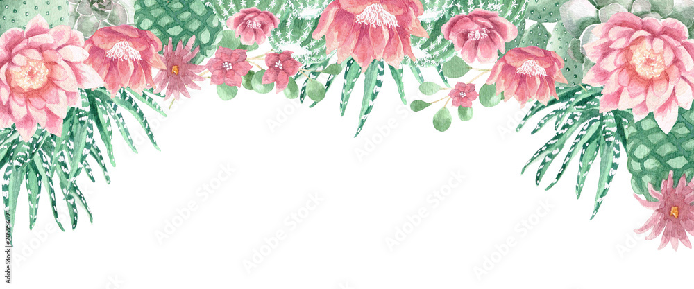 Watercolor Cactus and Succulents Watercolor Cactus and Succulents