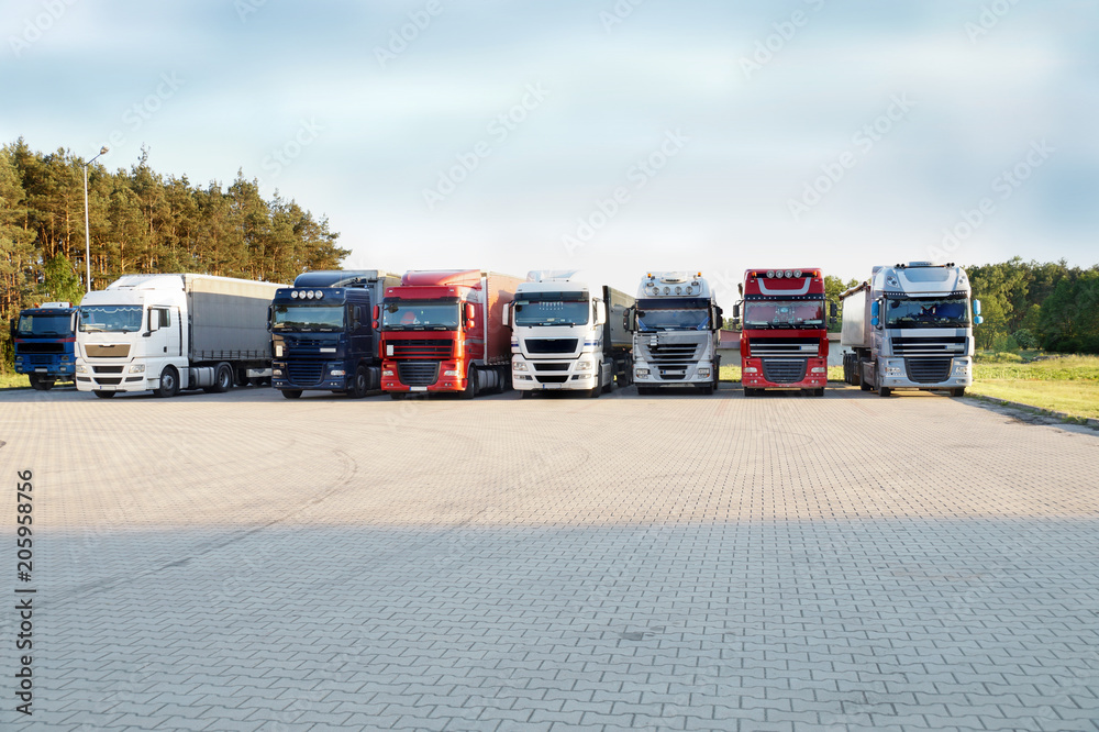 A row of multicolored trucks on a rest stop.