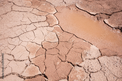 Dry land skin, dried mud pond resembles the aging of dry human skin