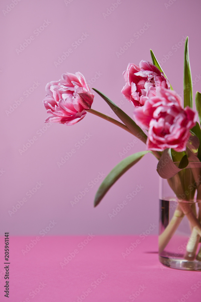 Obraz premium Bouquet of flowering pink tulips on a pink background