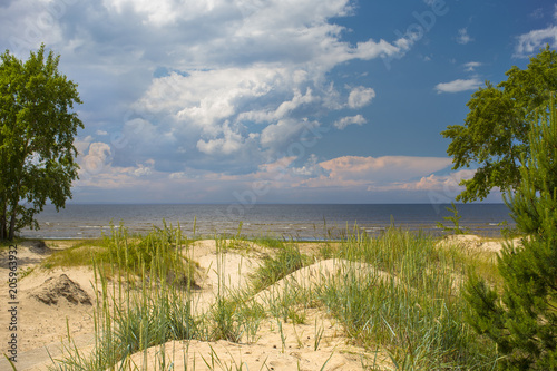 Fototapeta Naklejka Na Ścianę i Meble -  Coast of the Gulf of Finland, sand dunes.