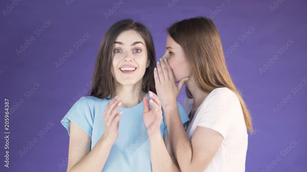 Young thin girl in white t-shirt telling a rumour to pretty brunette in light blue t-shirt, isolated shot in the purple background, concept of great amazement after received information Young thin girl in white t-shirt telling a rumour to pretty brunette in light blue t-shirt, isolated shot in the purple background, concept of great amazement after received information